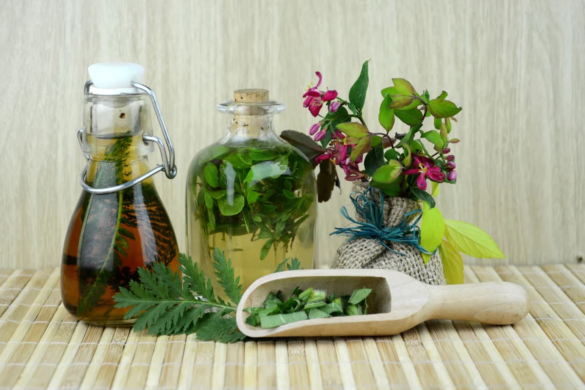 Botanical